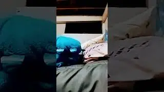 the best engineer plase run! 🏃‍♂️🏃‍♂️🏃‍♂️😅😅 funny bandoom 3023 try not laugh watching bandoom