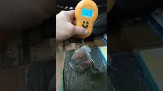 медь в телевизоре