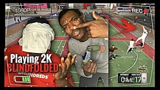 Carrying A Noob BLINDFOLDED On NBA2K20!! (GETS INTENSE)