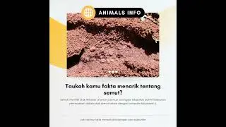 fakta menarik tentang semut #semut #edukasi #shorts
