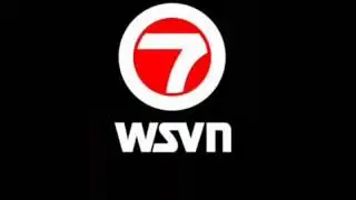 WSVN 1998-2001 Theme