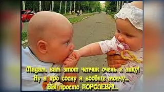 Юмор в коротких штанишках)))