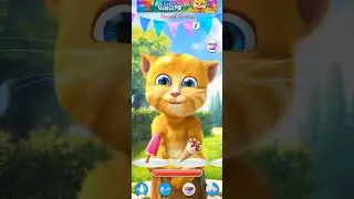SHORTS TALKING GINGER #263