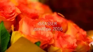 Корпоратив GRASSER