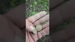 Куда без них✌ #metaldetecting #поисксметаллоискателем #коп #металлоискатель #coin #поиски
