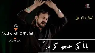 Irfan Haider New Noha | Noha Status | #Nad_E_Ali_Official..
