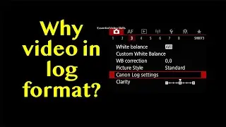 Why Film in Log and How to Use It