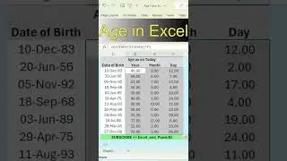 How to Calculate Age in Excel Using DATEDIF Function | Excel_and_PowerBI | 