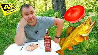 СТАРКА НА СУДАКА! ЛОВЛЮ НА ТЕЛЕВИЗОР, ДОНКУ, УДОЧКУ И ФИДЕР ОДНОВРЕМЕННО!