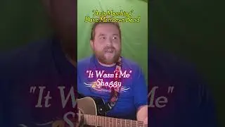 Dave Matthews Band & Shaggy - Ants Marching & It Wasn't Me #davematthewsband #shaggy #itwasntme