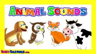 'Animal Sounds Song'   Kids Learning Nursery Rhymes, Learn the Sounds of the