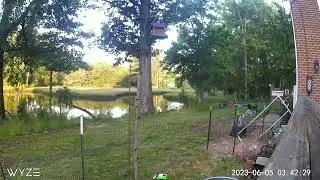 Squirrel Nut Zapper v1