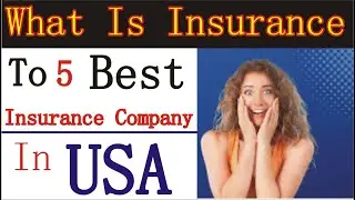 Insurance in USA | What Is Insurance | Health Insurance Policy | Top 5 Best Insurance Company In USA