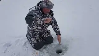 Вываживание форели. Рыболовный клуб Пирогово.
