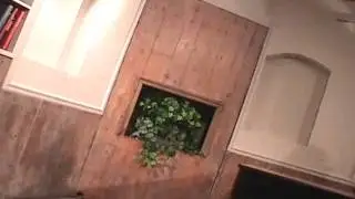 Punishment