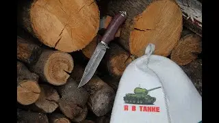 Выпуск № 43, 2023.