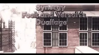 Synergy Versah & Fook | a Dual-Tage (Mw2)