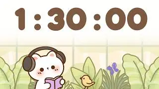 90 Minute Timer 🐱 1 hour 30 minute Study Timer for Classroom Focus