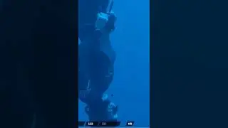 RELAXED FREEFALLING FREEDIVING COMPETITION