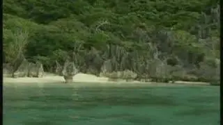 Fiji Island, Dream Beach