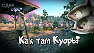 Как там клёв на Куори? ( Русская рыбалка 4 )