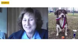 Вебинар Моя непослушная собака с Татьяной Шамановой