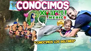 We swam with dolphins 🤟 | We discovered the hidden side of Xcaret | The Molina Family