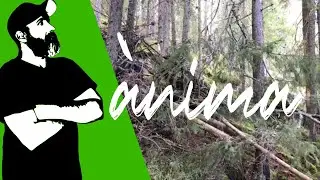 Ànima II (12/10/2020 update) - land art project