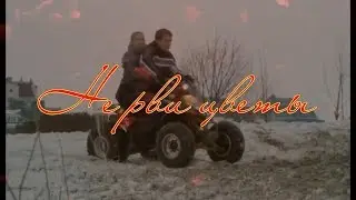 Не рви цветы🌺 завянут они
