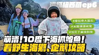 【遠征紐西蘭ep.6】10度下海抓鮑魚！碰到野生海獅、企鵝！米爾福德峽灣、全世界最陡斜坡！