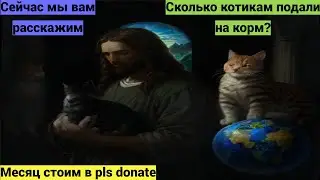 2 недели в Pls Donate | Сколько мне пожертвуют