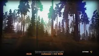 Stay Out . Сталкер онлайн . Талоны за Скорпион .