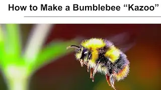 Growing Gardeners: How to Make a Bumblebee Kazoo