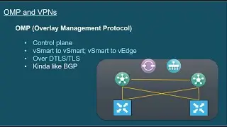 Cisco SD-WAN - OMP and VPNs