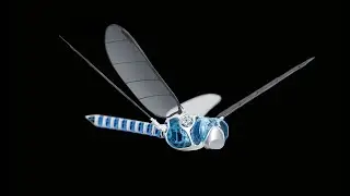 5 Amazing BIONIC ROBOTS by Festo Robotics #2