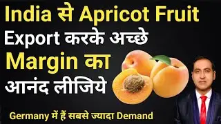 how to export apricot fruit from india I apricot fruit export from india I rajeevsaini I apricot