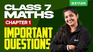 Class 7 Mathematics | Chapter 1 - Important Questions | Xylem Class 7