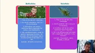 Cell - The Fundamental Unit Of Life (Overview)