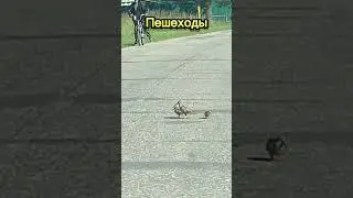 Пешеходы