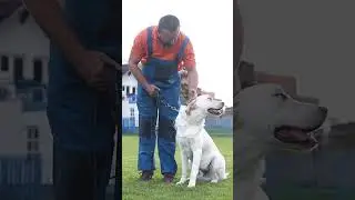 Máñ training his dog