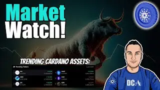 ADA and Cardano Projects On The Move - Market Watch!