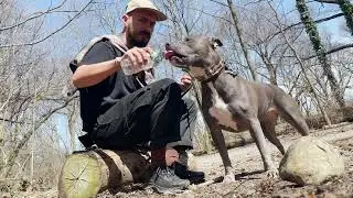 Fixed gear cycling/walks with my bluenose Pit | Day in the life in BK, NY.