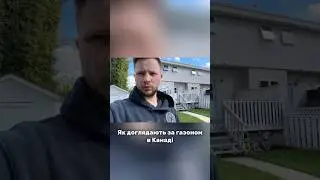 Обробка газону хімікатами