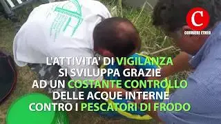 VIGILANZA PESCA ACQUE INTERNE