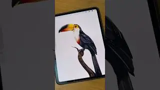 Procreate watercolor brushes 