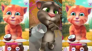 Talking Ginger vs Talking Tom || My talking Ginger And Talking Tom😀😀😀