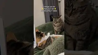 DON’T do these 3 things to your cat!