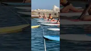 SupYoga в Севастополе. Центр йоги Студия Тишины и школа виндсерфинга Omega Bay