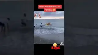 Спасатели от бога😂я ржал пол часа приколы видео смешное ржака угар тик ток