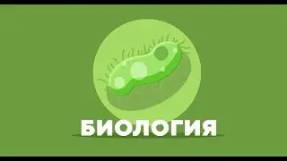 Биология о клетках~Биология с Никитой~